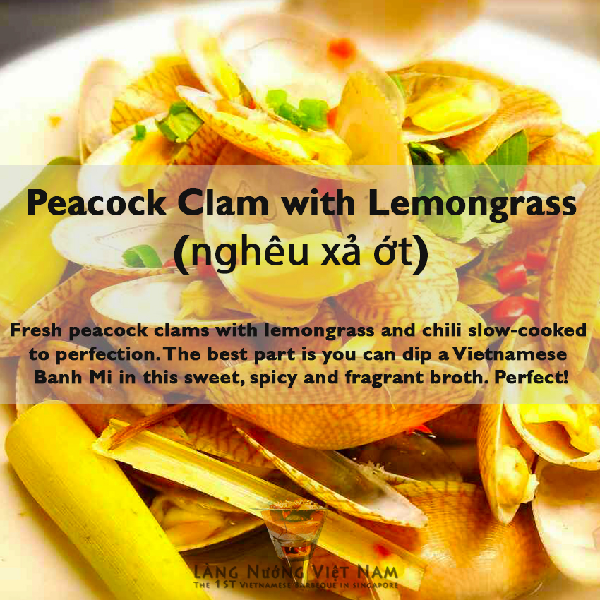 Peacock Clam