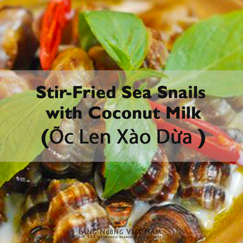 Sea Snails